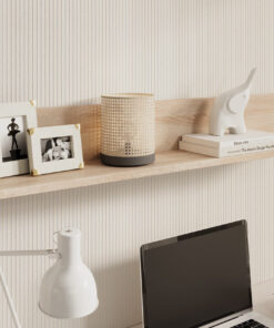 Alternative view of Ravi polc